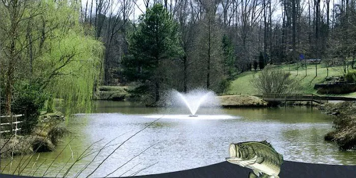 Southern Pond Management Picture 1