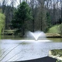 Southern Pond Management ico