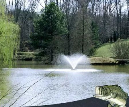 Southern Pond Management