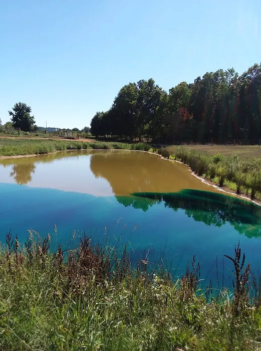 Southern Pond Management Picture 4