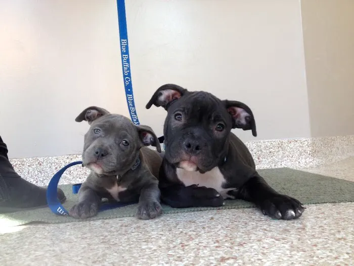 Full Circle Veterinary Hospital Picture 7