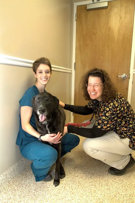 Full Circle Veterinary Hospital Picture 1