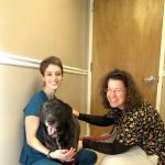 Full Circle Veterinary Hospital
