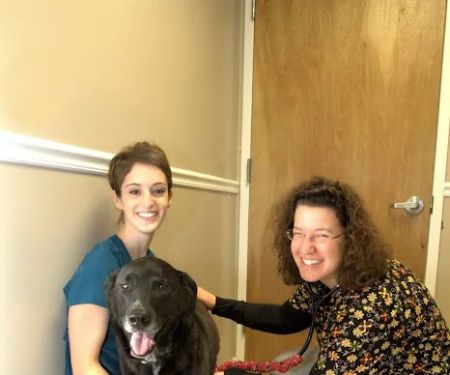 Full Circle Veterinary Hospital