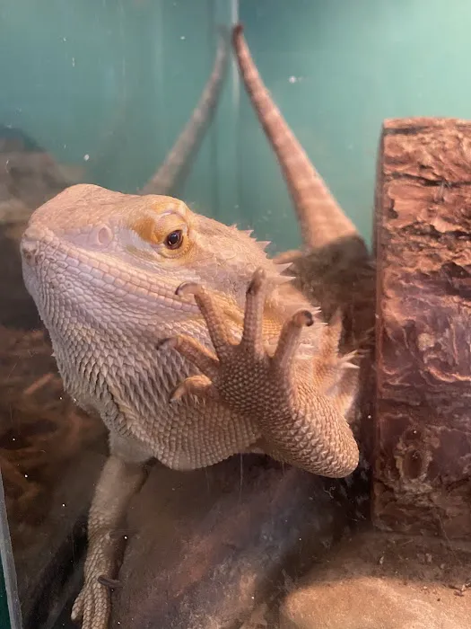 K-BAM Exotic Pet Store Picture 1
