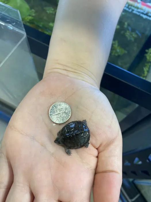 K-BAM Exotic Pet Store Picture 5