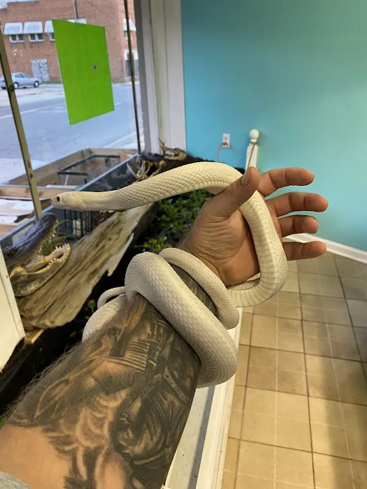 K-BAM Exotic Pet Store Picture 9