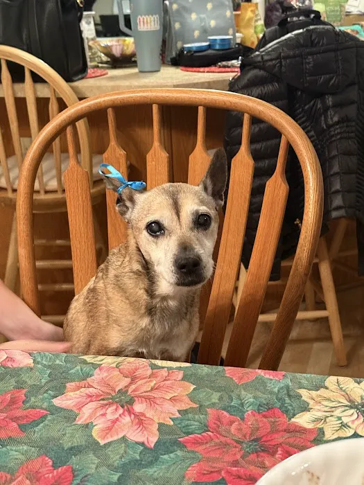 Newburgh Veterinary Hospital Picture 1