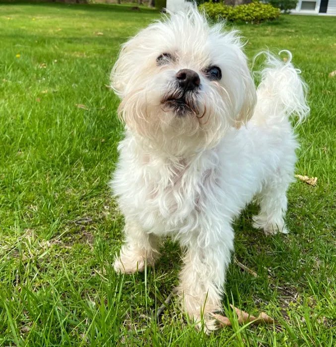 Newburgh Veterinary Hospital Picture 8