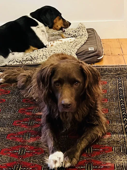 Newburgh Veterinary Hospital Picture 7