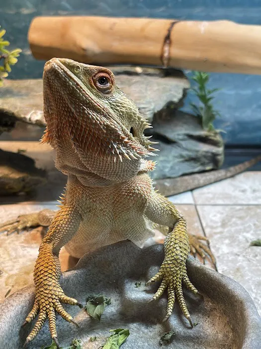 Newburgh Veterinary Hospital Picture 2