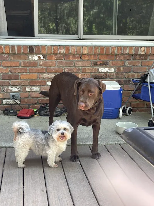 Newburgh Veterinary Hospital Picture 4