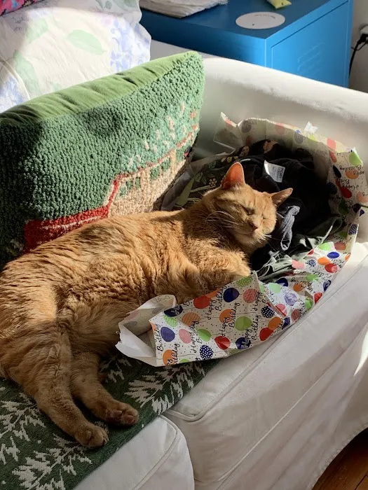 Newburgh Veterinary Hospital Picture 6