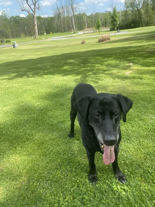 Newburgh Veterinary Hospital Picture 10