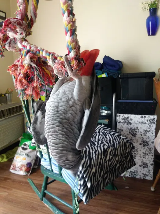 Newburgh Veterinary Hospital Picture 9