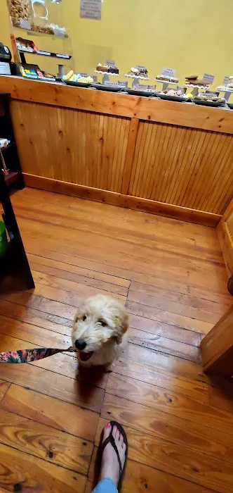 DOGMA & FETCH Picture 4