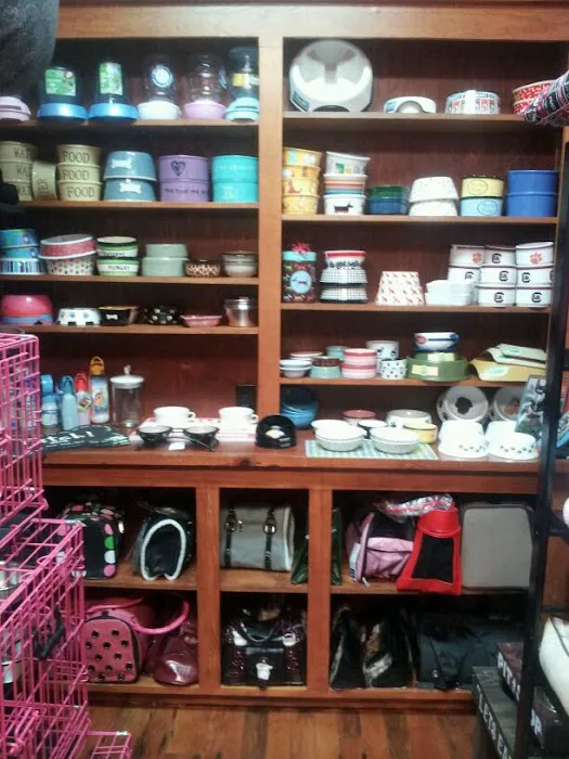 DOGMA & FETCH Picture 5