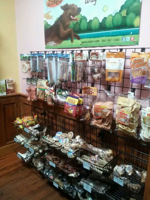 DOGMA & FETCH Picture 9