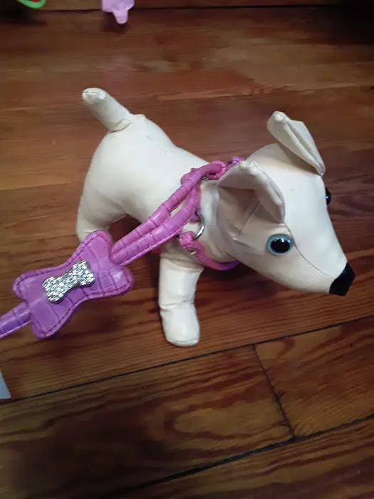 DOGMA & FETCH Picture 6