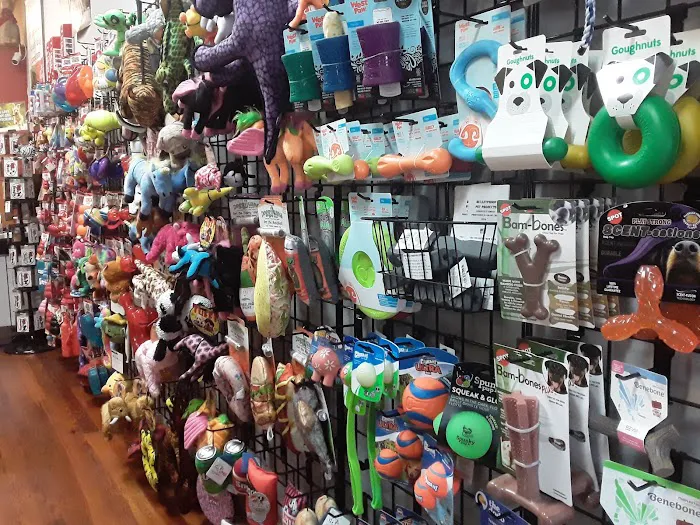 DOGMA & FETCH Picture 10