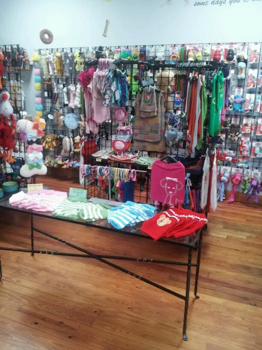 DOGMA & FETCH Picture 7