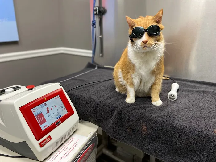 Hopewell Animal Hospital Picture 2