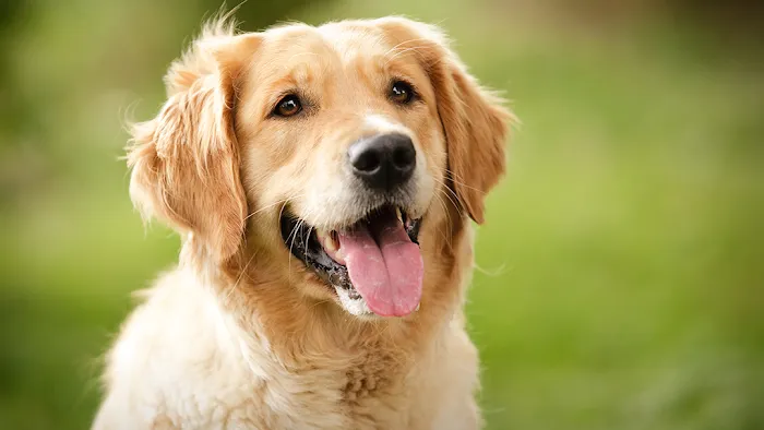 Hopewell Animal Hospital Picture 7