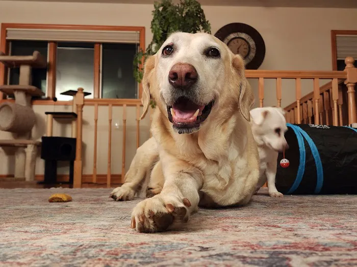 Hopewell Animal Hospital Picture 4