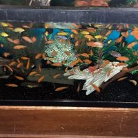 FiveFins Aquatics ico