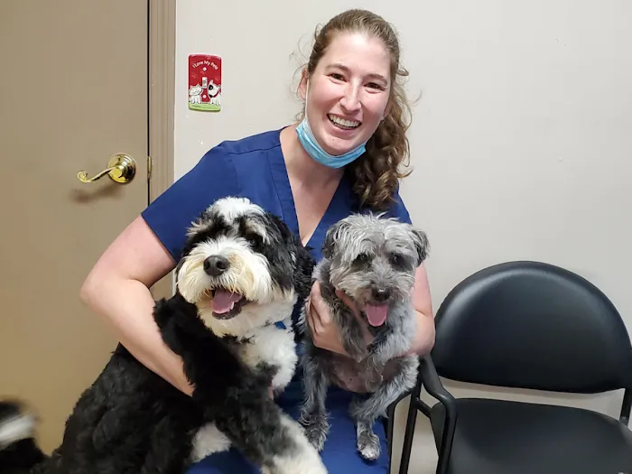 A.C.E. Veterinary Hospital Picture 10