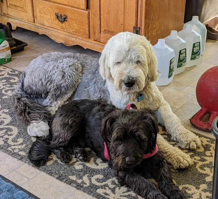 A.C.E. Veterinary Hospital Picture 4