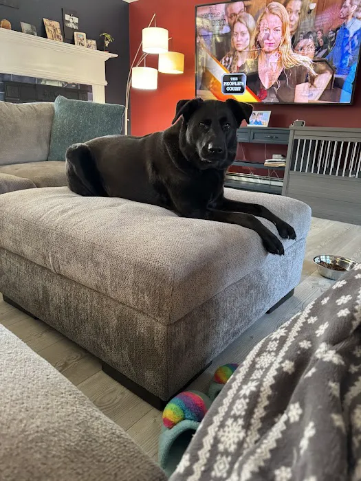 A.C.E. Veterinary Hospital Picture 2