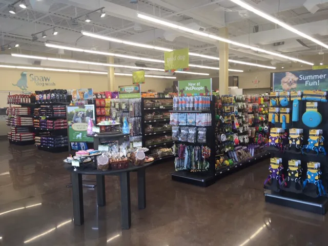 Hollywood Feed Picture 1