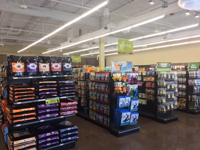 Hollywood Feed Picture 9