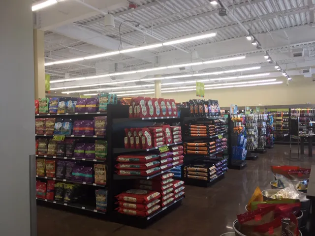 Hollywood Feed Picture 8