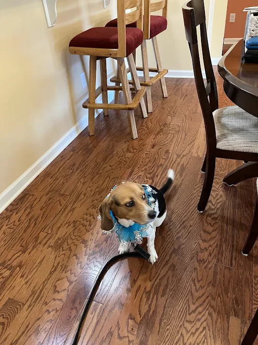 Hollywood Feed Picture 4