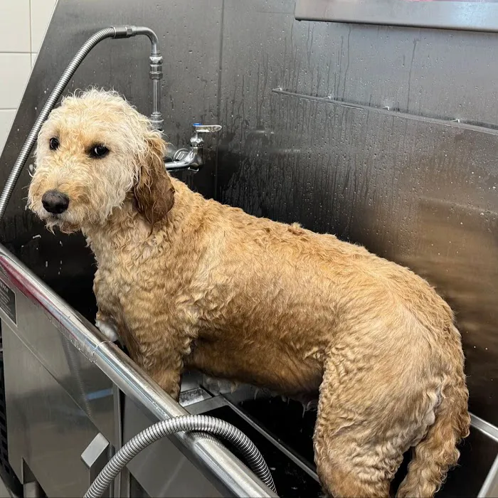 Hollywood Feed Picture 7