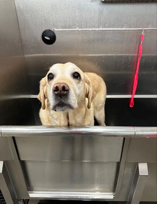 Hollywood Feed Picture 6