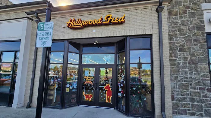 Hollywood Feed Picture 2