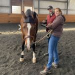 Advanced Equine of the Hudson Valley