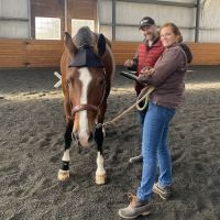 Advanced Equine of the Hudson Valley ico