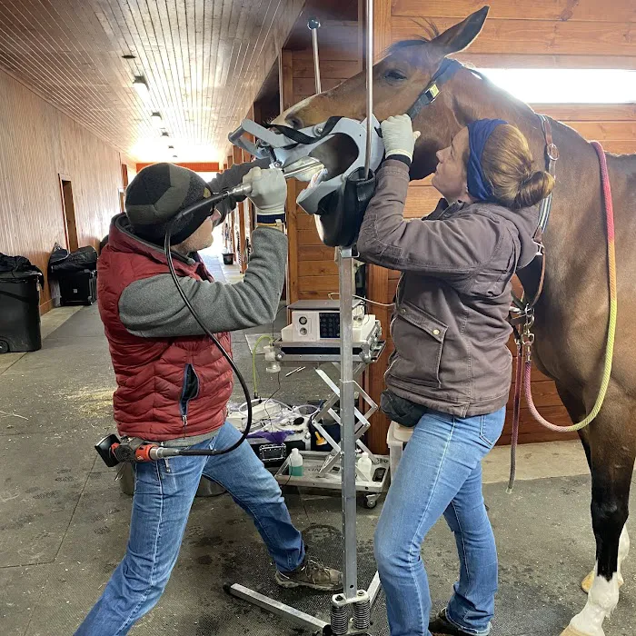 Advanced Equine of the Hudson Valley Picture 3