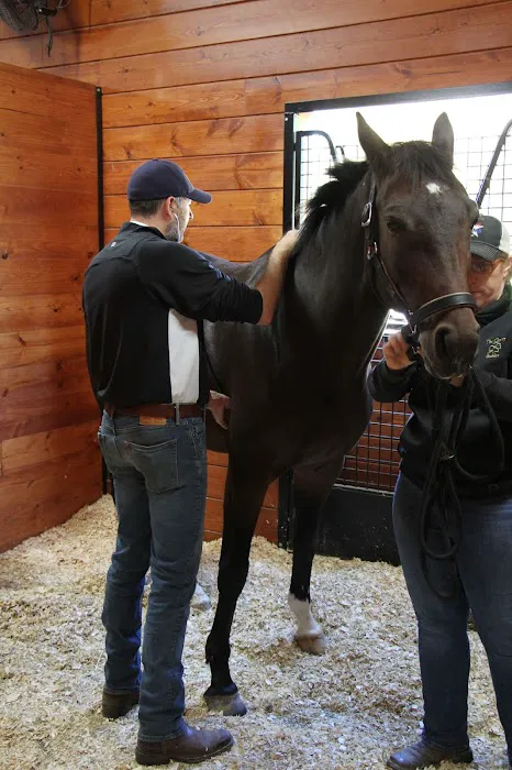 Advanced Equine of the Hudson Valley Picture 5