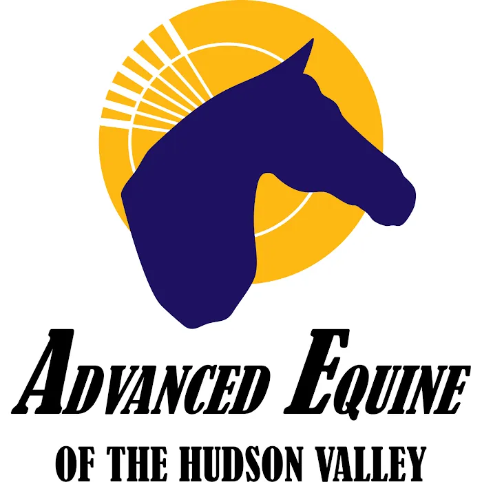 Advanced Equine of the Hudson Valley Picture 8