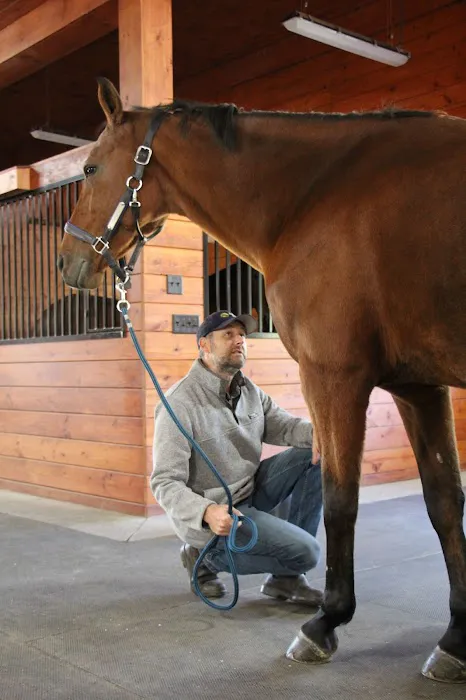 Advanced Equine of the Hudson Valley Picture 10