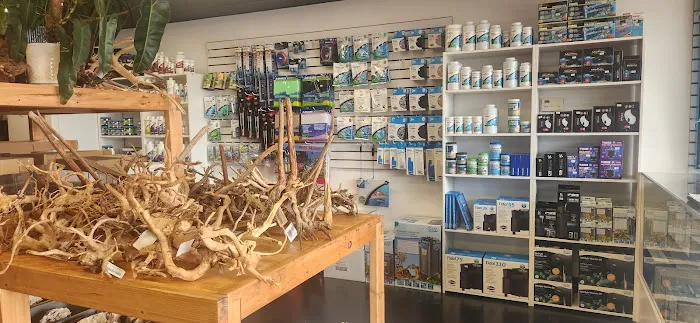 Ozark Aquarium Design Picture 3