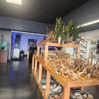 Ozark Aquarium Design ico