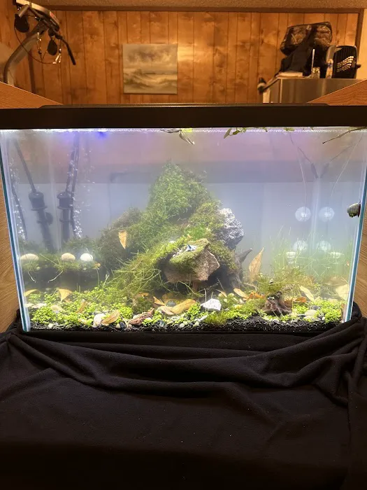 Ozark Aquarium Design Picture 4