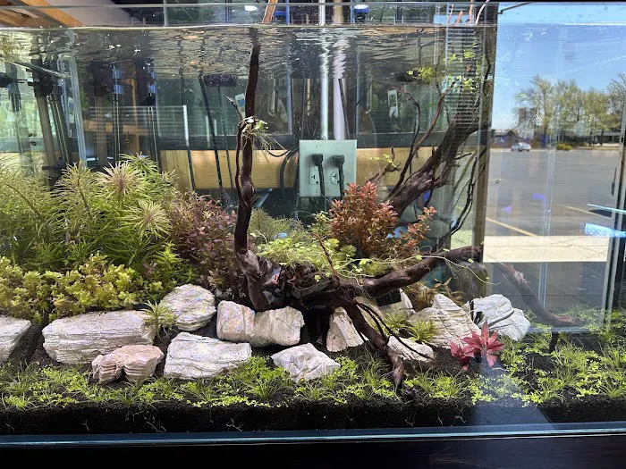 Ozark Aquarium Design Picture 2