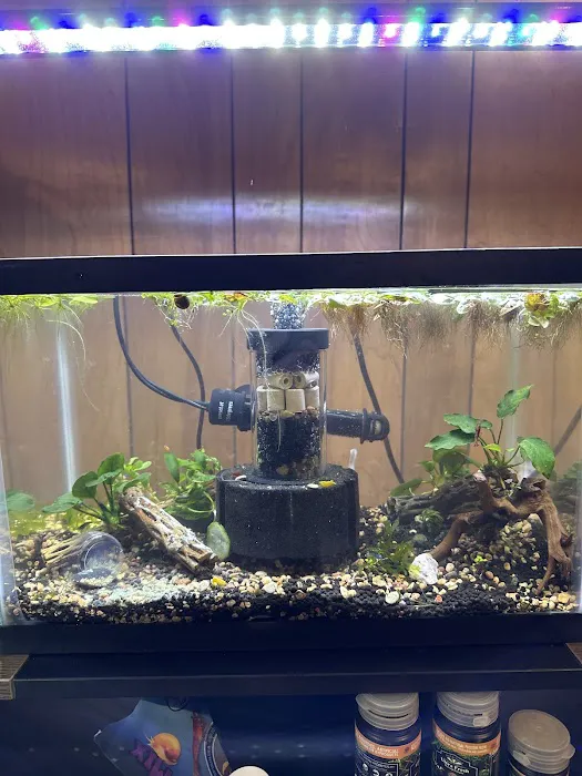 Ozark Aquarium Design Picture 8